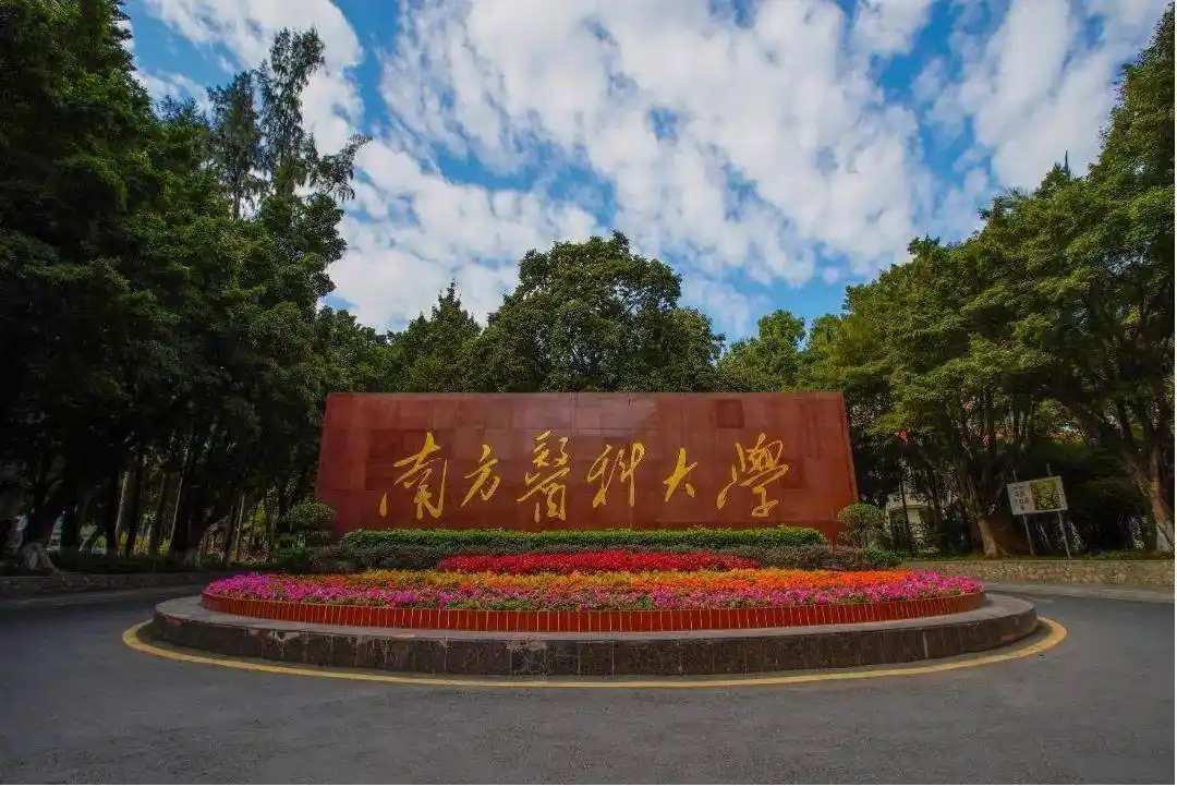 斯高等教育领域正逐渐获得国际认可