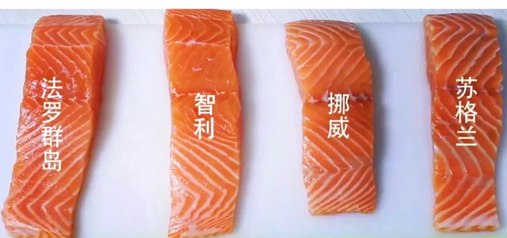 智利三文鱼出口额有望从65亿增至100亿美元