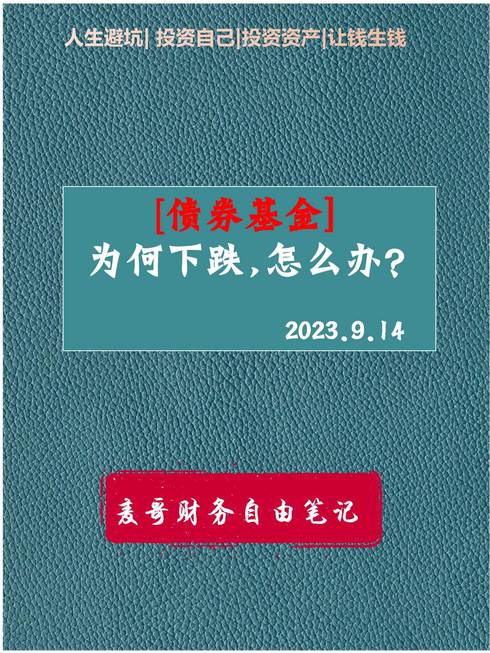债券型基金火了！超98%取得正收益 2025债牛还能延续吗？