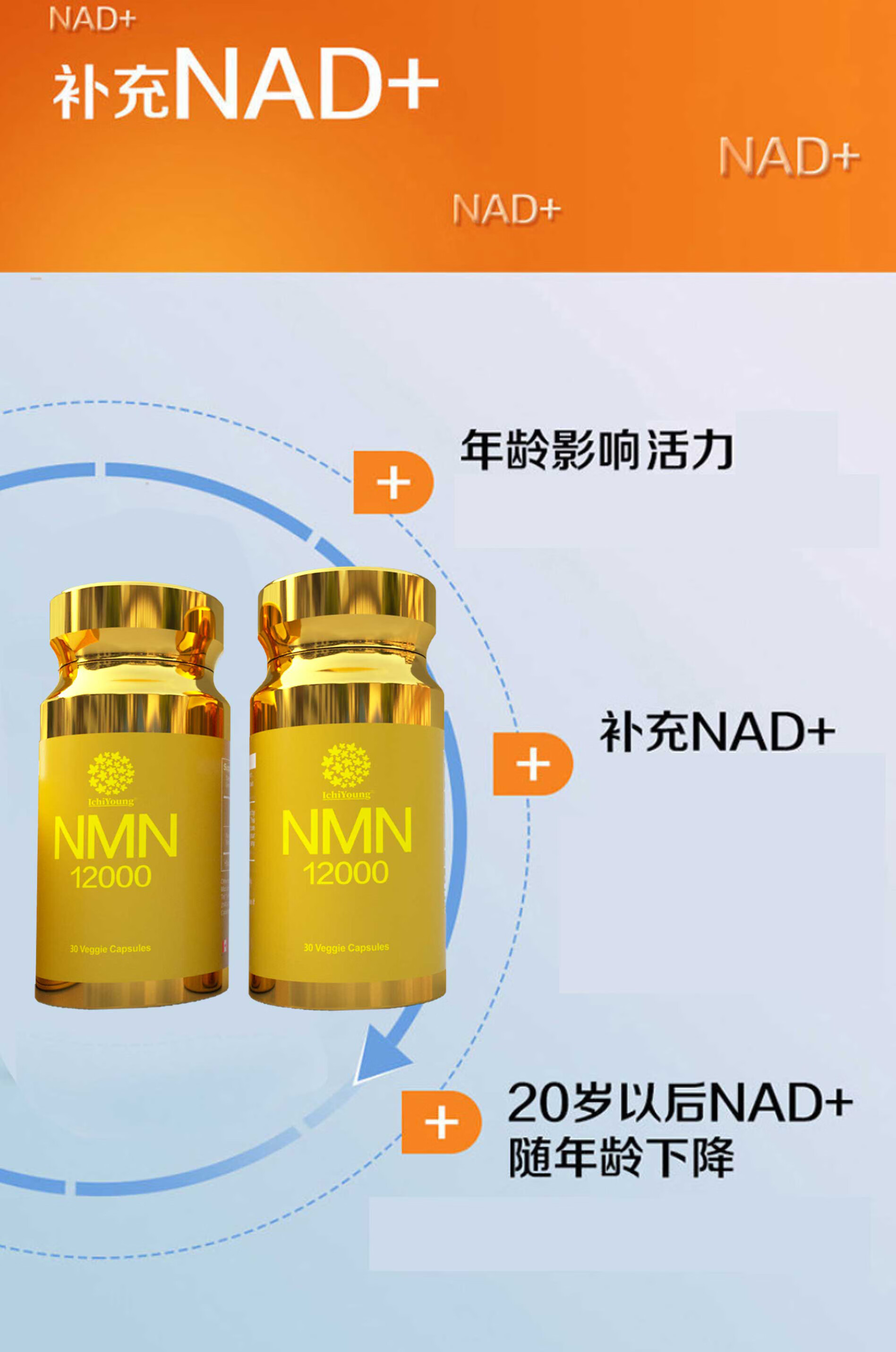 广电计量获得发明专利授权:“一种同时测定食品中烟酰胺单核苷酸α、β异构体和烟酰胺腺嘌呤二核苷酸含量的方法”