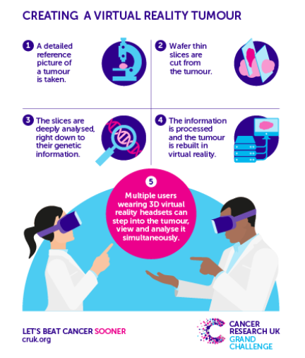 新研究揭示癌症研究模型可能存在“隐患”