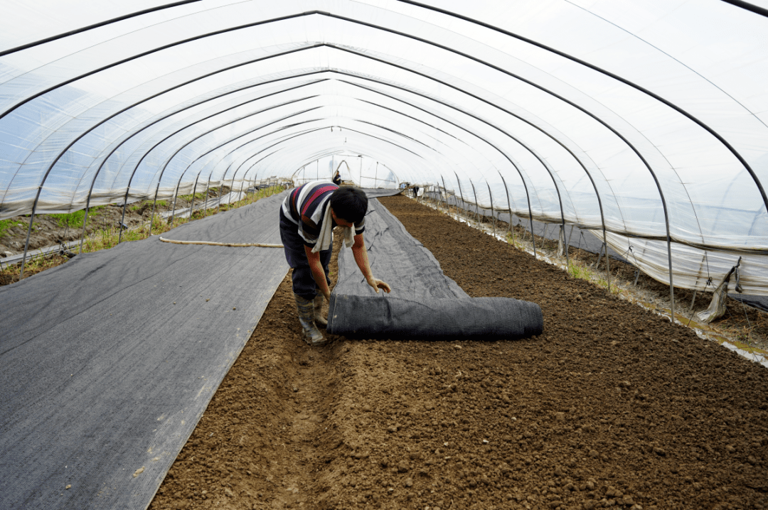 尼地方合作社使用“农业救护车”助力蔬菜供应