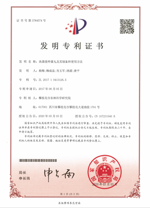 美腾科技获得发明专利授权:“一种安全管理知识图谱数据的标注方法”