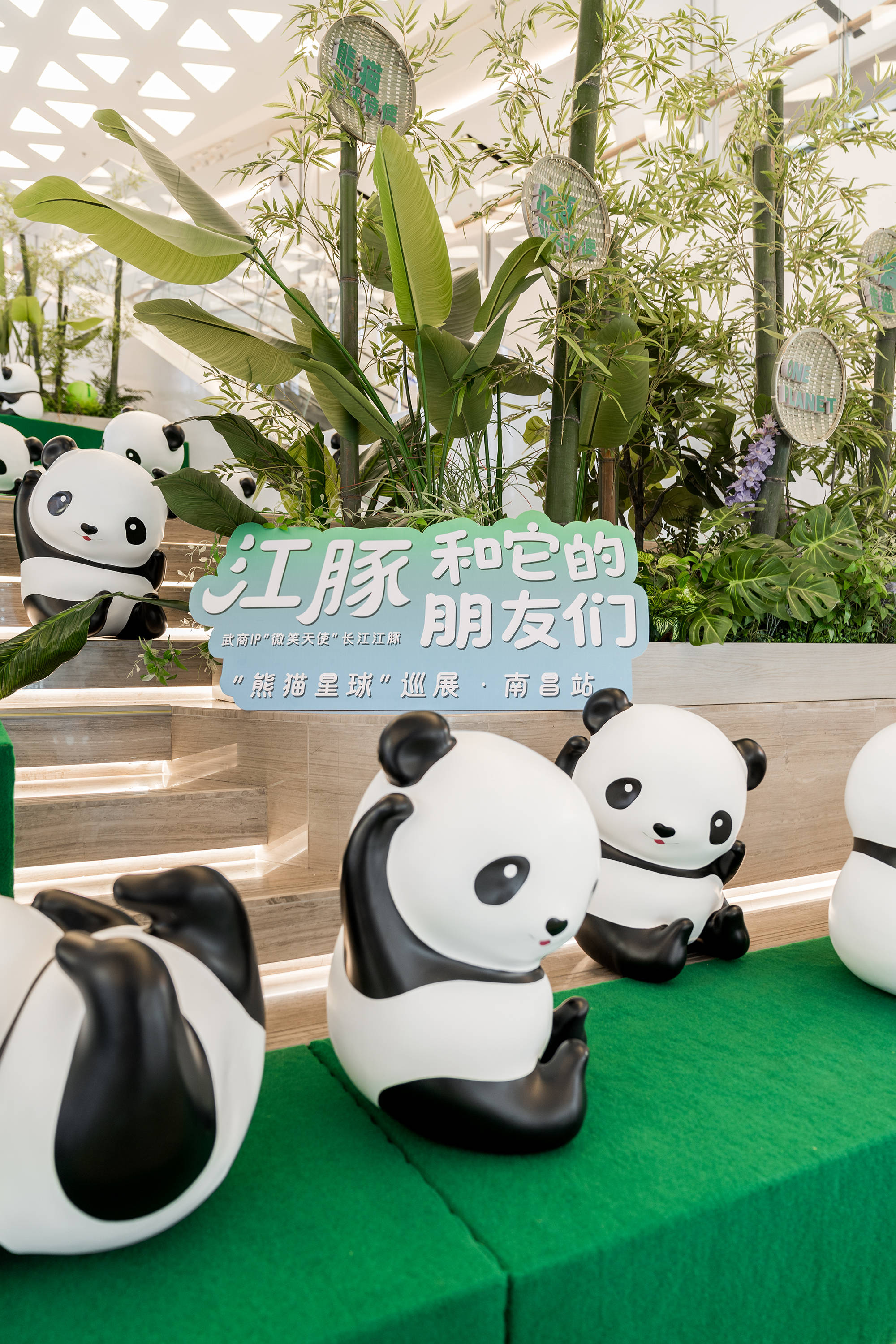 武商集团：武商江豚会员店拟于今年下半年开业