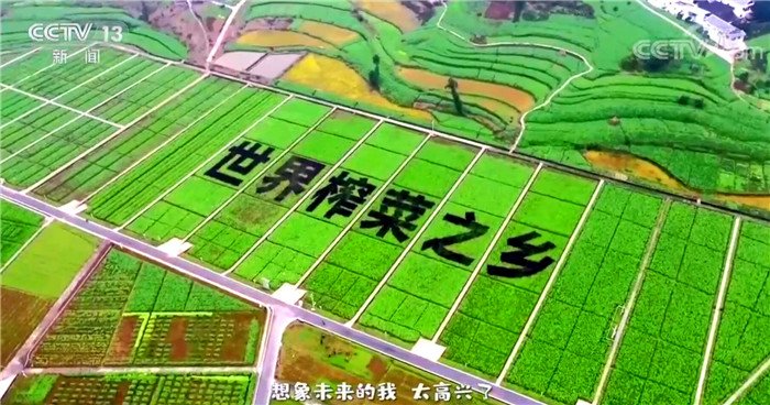 涪陵榨菜:未来仍将根据实际情况为股东提供长期稳定提升的分红回报