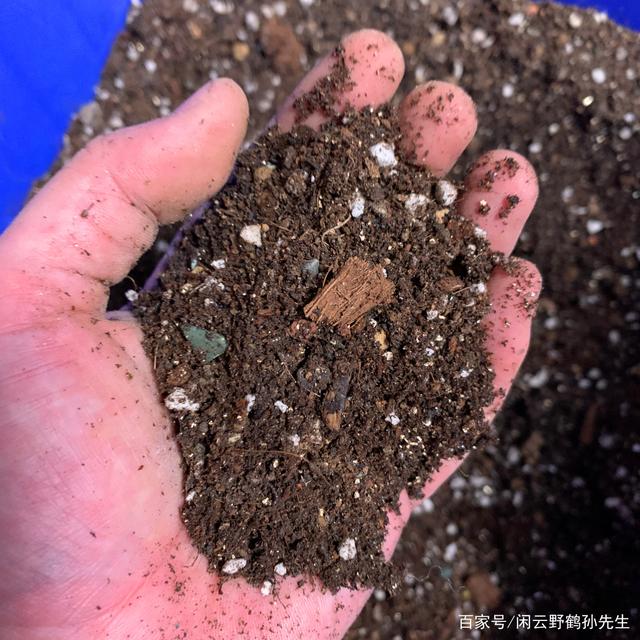 蒙草生态获得实用新型专利授权：“一种用于配置实验室盆栽土壤的联合装置”