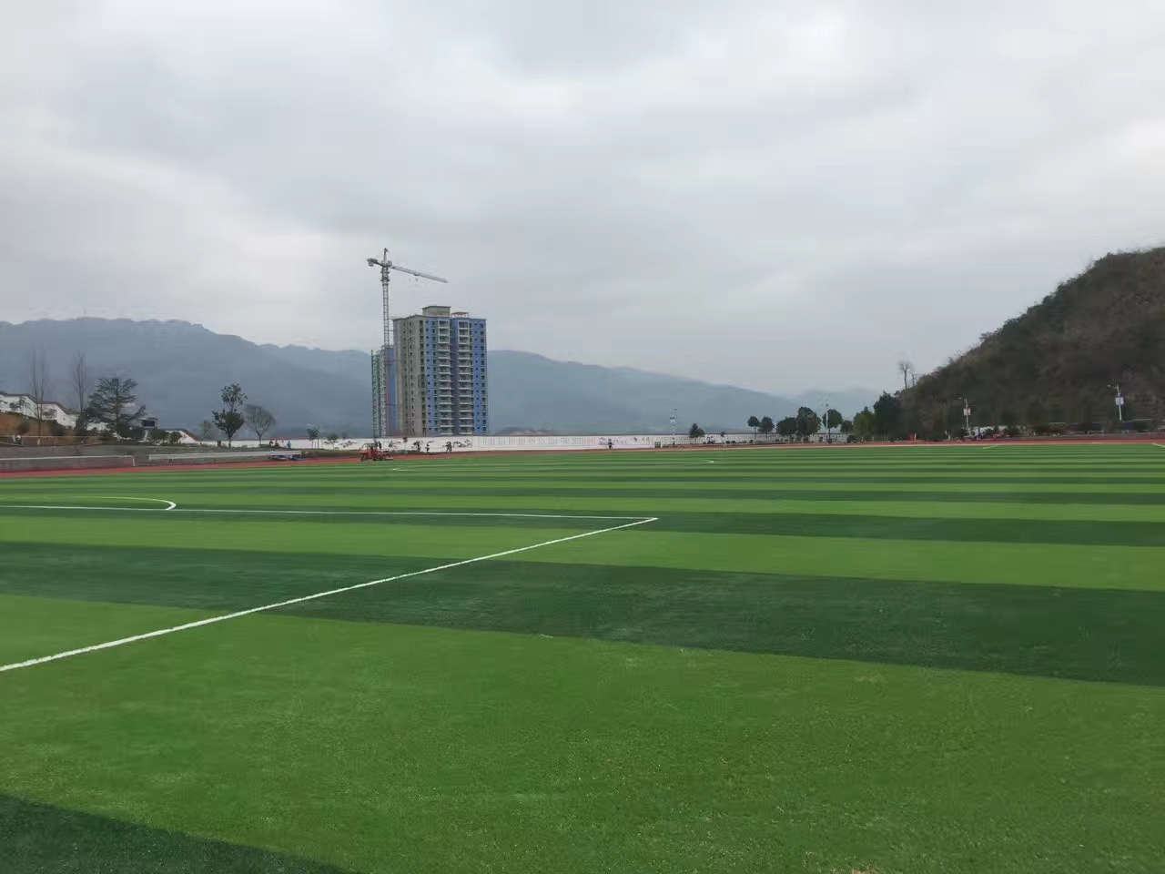 蒙草生态：公司成功实施了西安奥体中心等29块国内知名球场