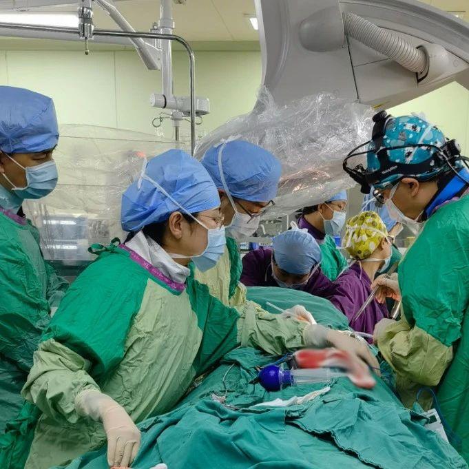 佰仁医疗获得发明专利授权：“一种血管生物补片及其制备”