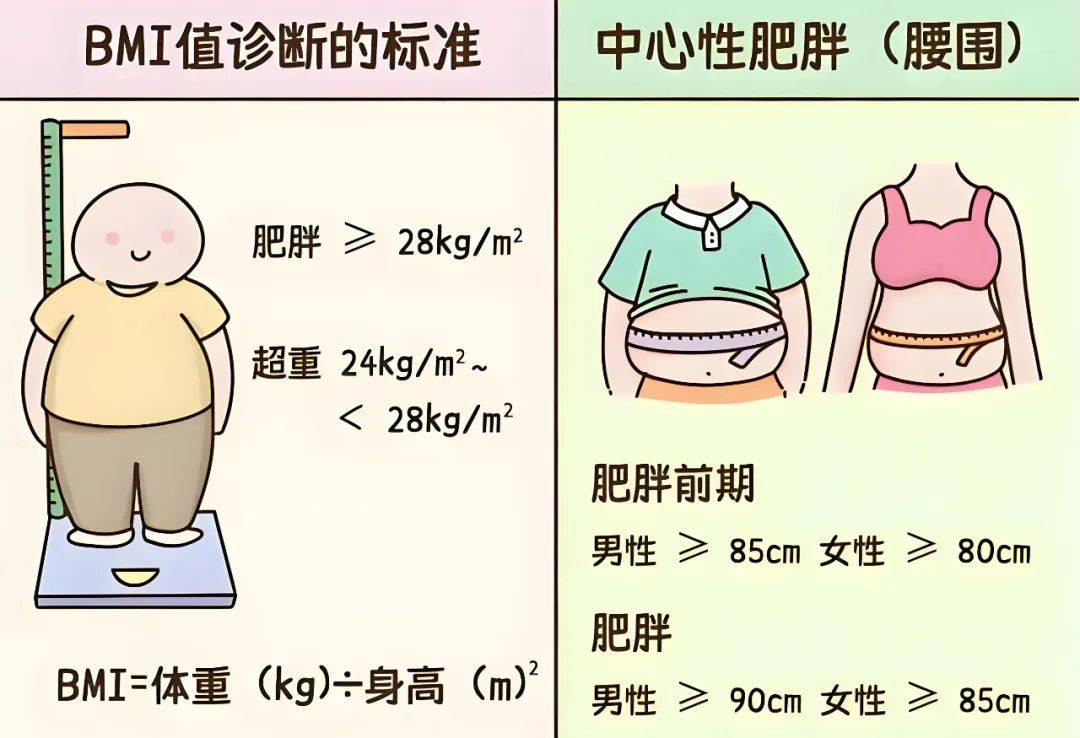 北京儿童医院吴迪：儿童青少年肥胖症大多是营养性肥胖