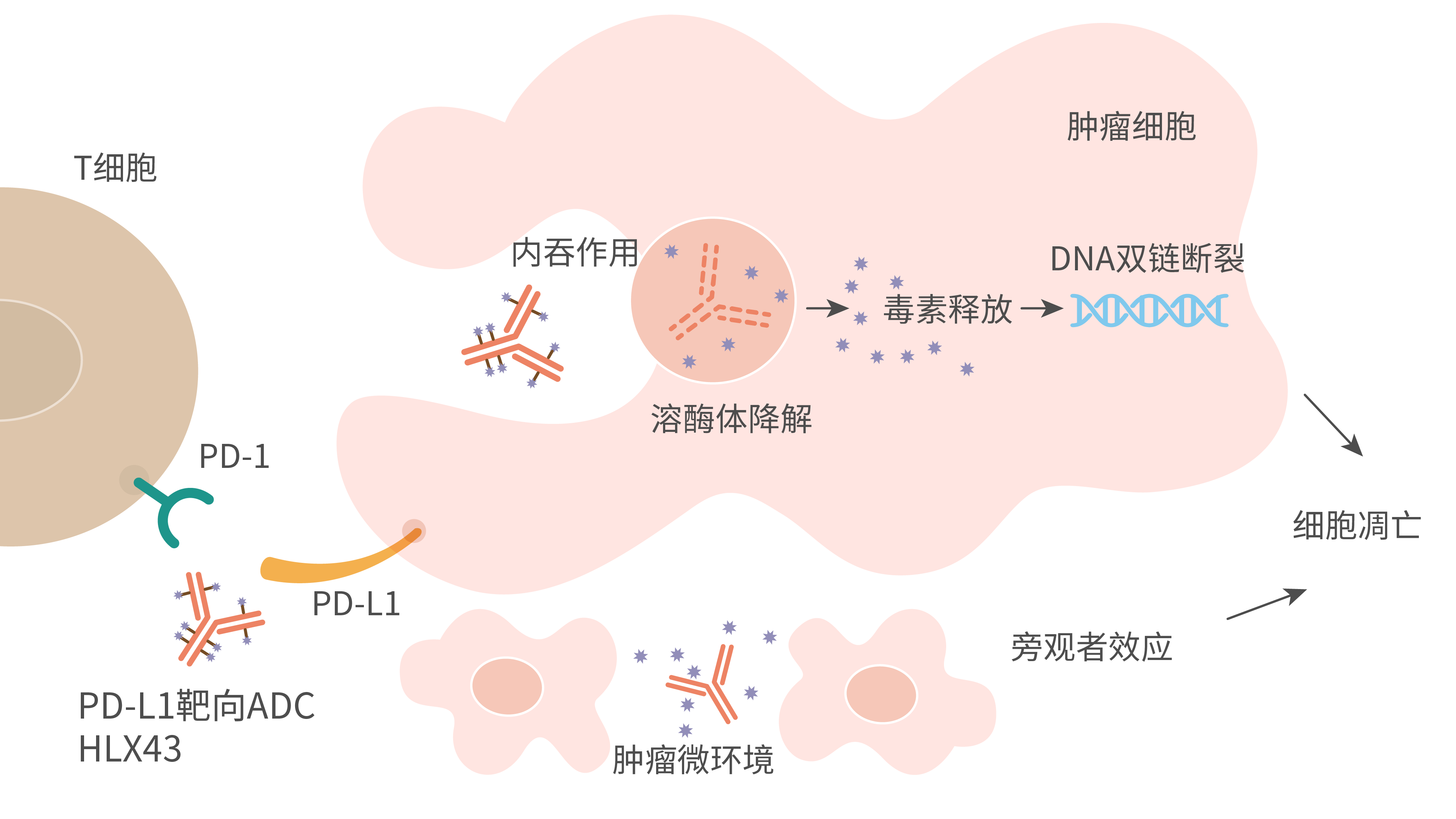 药石科技：构建ADC药物领域全流程服务体系
