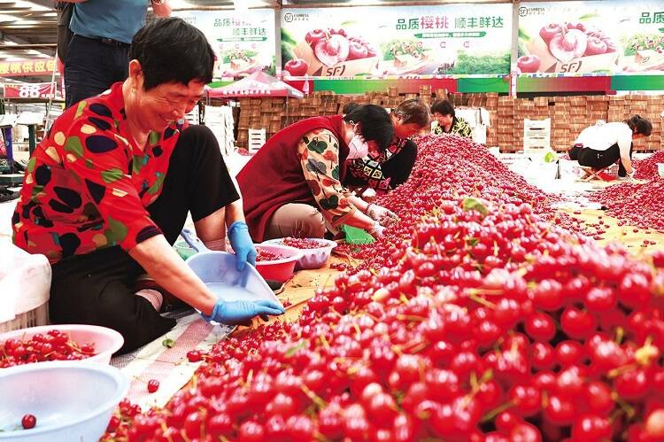 助力水果寄递，甘肃樱桃“韵鲜达”