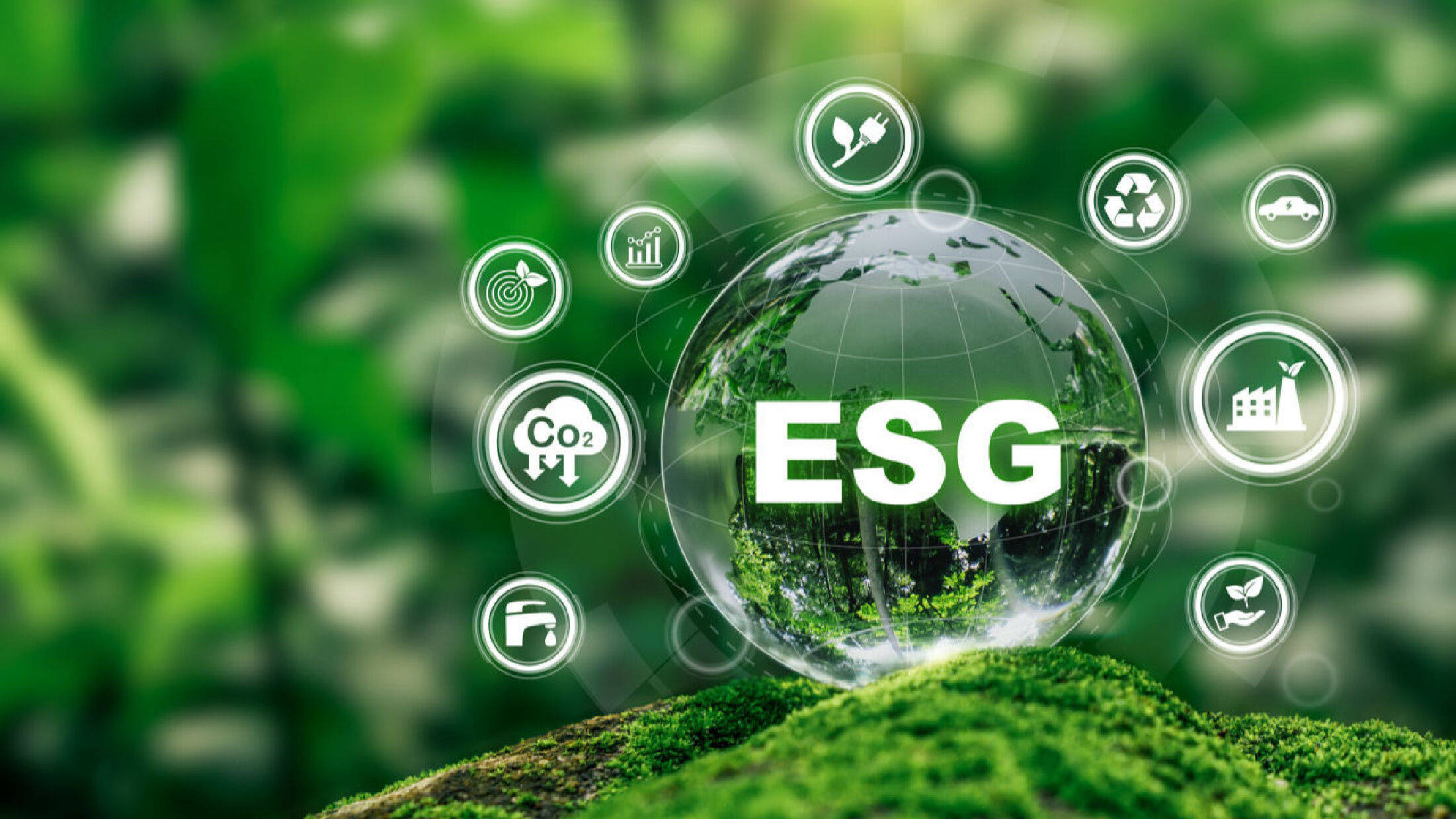 【ESG动态】金蝶国际（00268.HK）获华证指数ESG最新评级BBB，行业排名第2