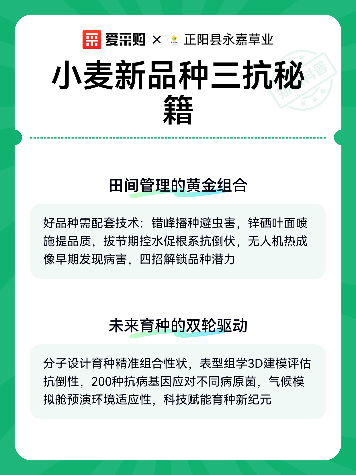 我国科学家揭示小麦品质育种新路径