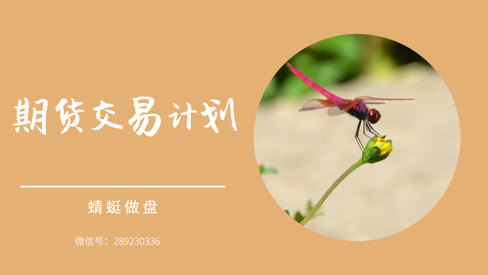 上期所:将调整铜等期货新上市合约交易保证金比例和涨跌停板幅度