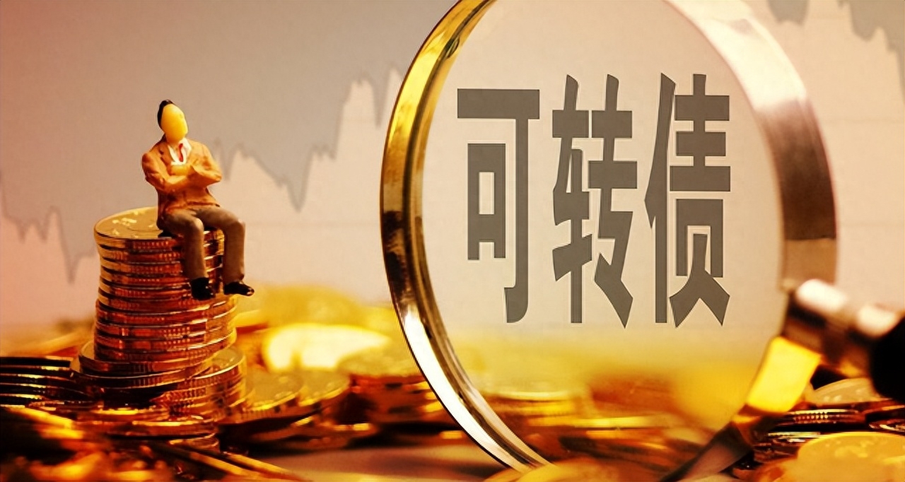 江苏国泰:关于可转债转股价格调整的公告
